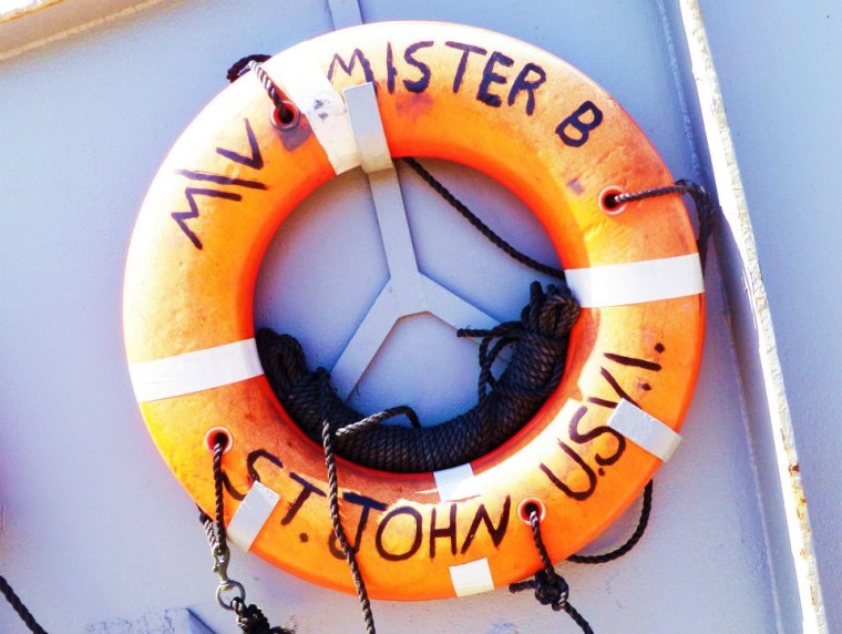 395776_10152041436705721_599926034_n