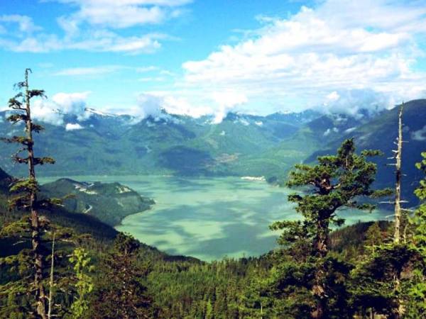 The Road to&nbsp;Home