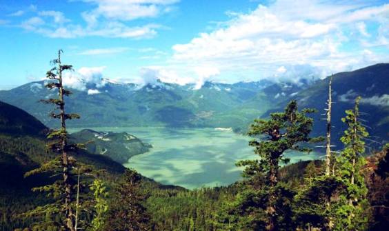 1016341_10153045800745721_1113647947_n