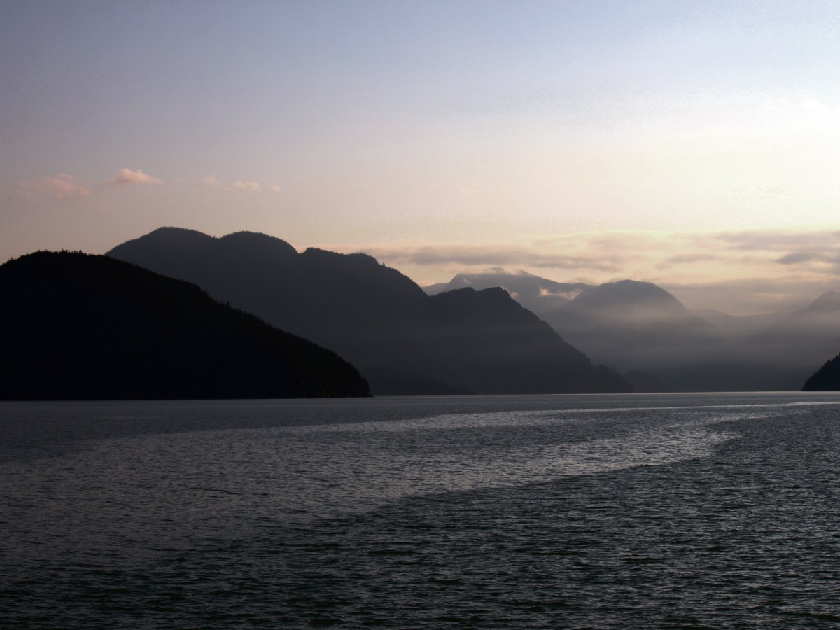 In the Midst of an Incomprehensible Wild&nbsp;Beauty