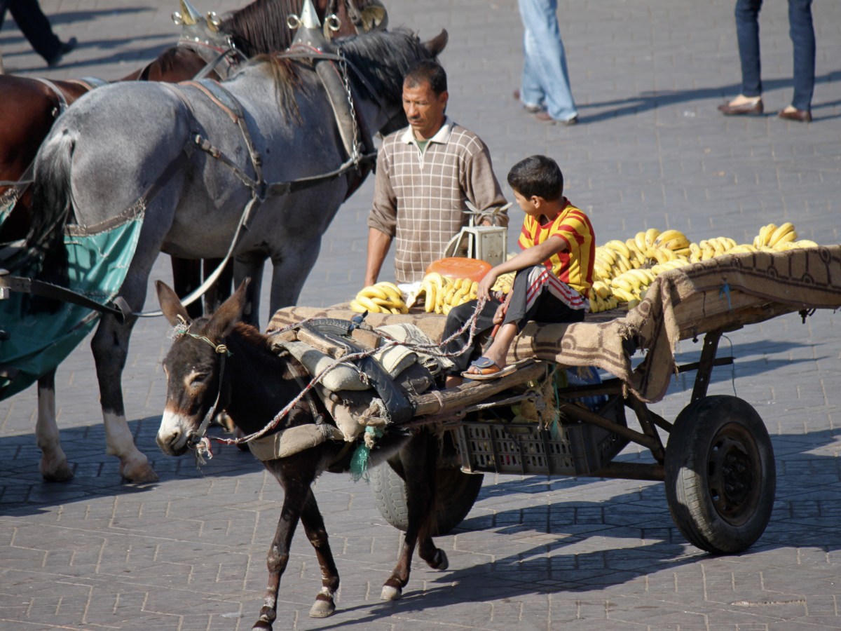 Marrakech: A City of Rich History and Everyday&nbsp;Realities