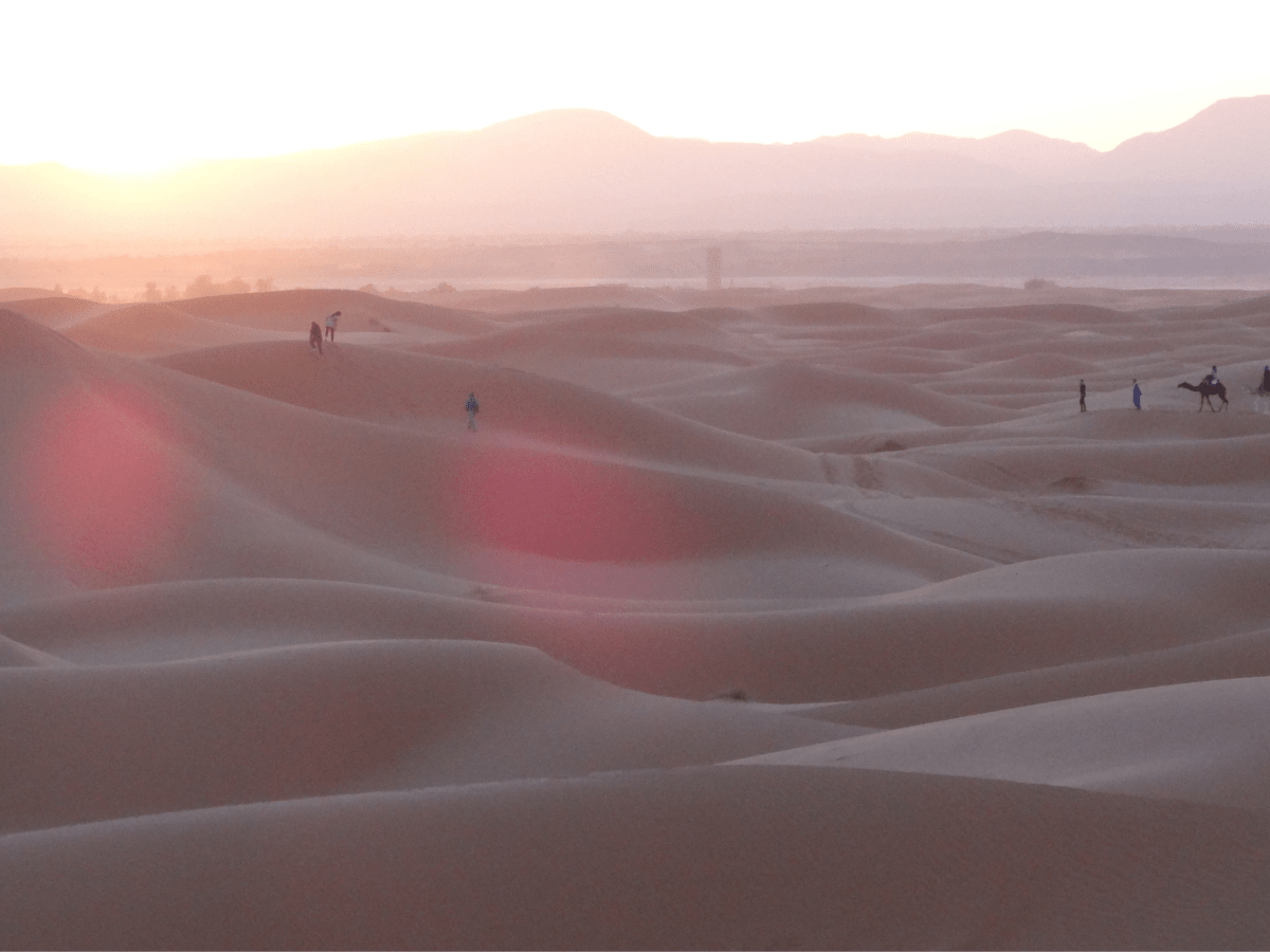 Moroccan Flavours: From Ancient Medinas to the Sahara, Atlantic Coast to the Rif Mountains—Exploring Tradition, Land, and&nbsp;Heritage