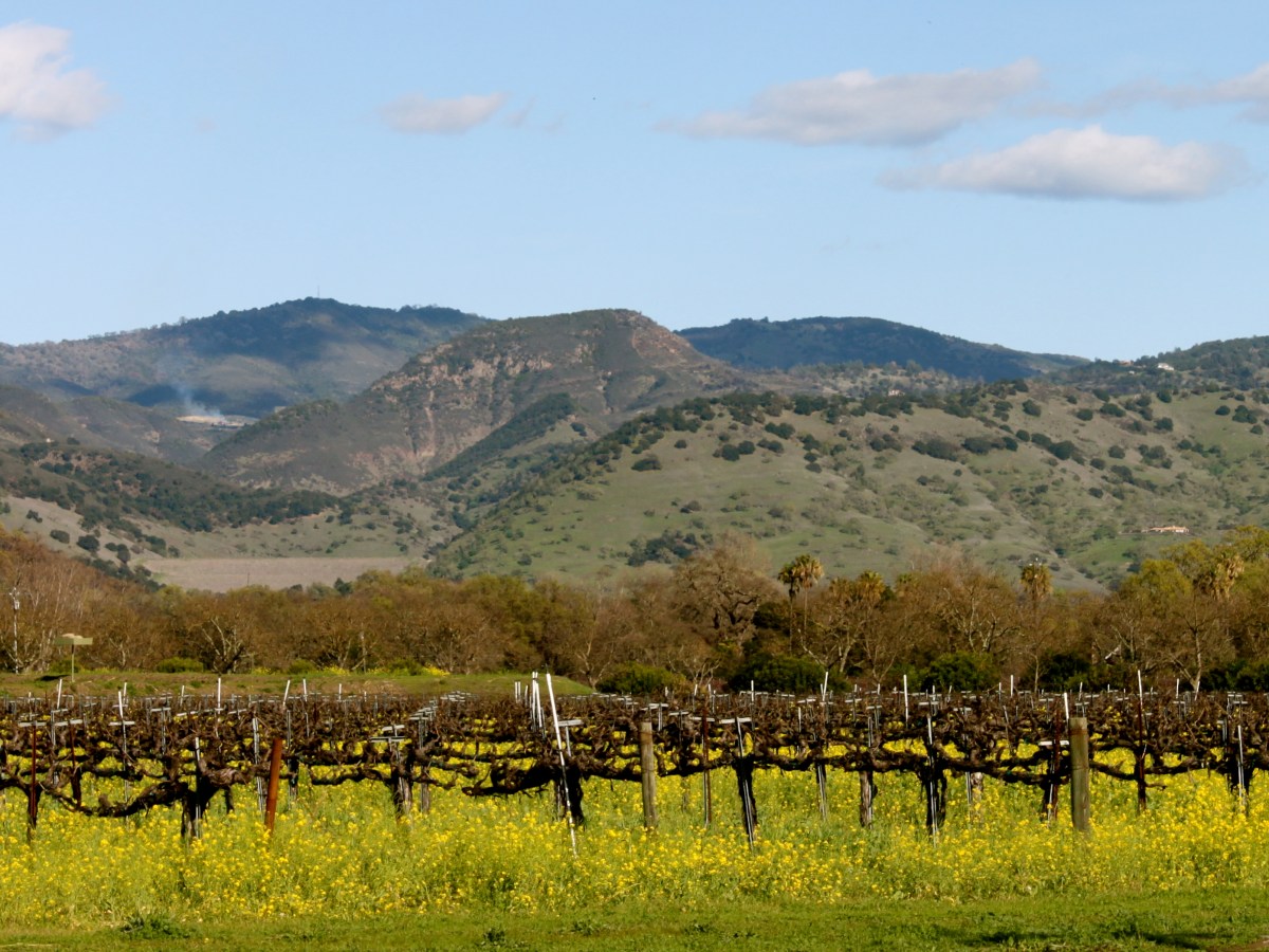 Wine Holiday: A Road Trip Through Napa&nbsp;Valley