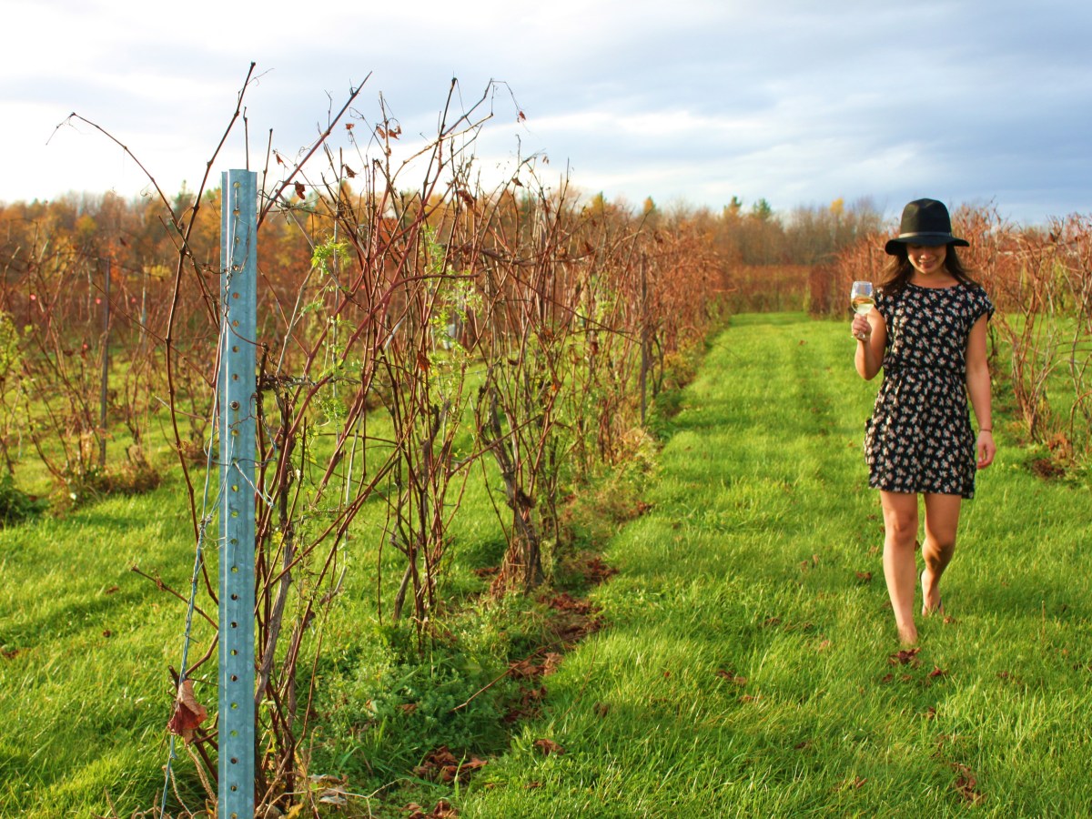 Québec’s Wine Route