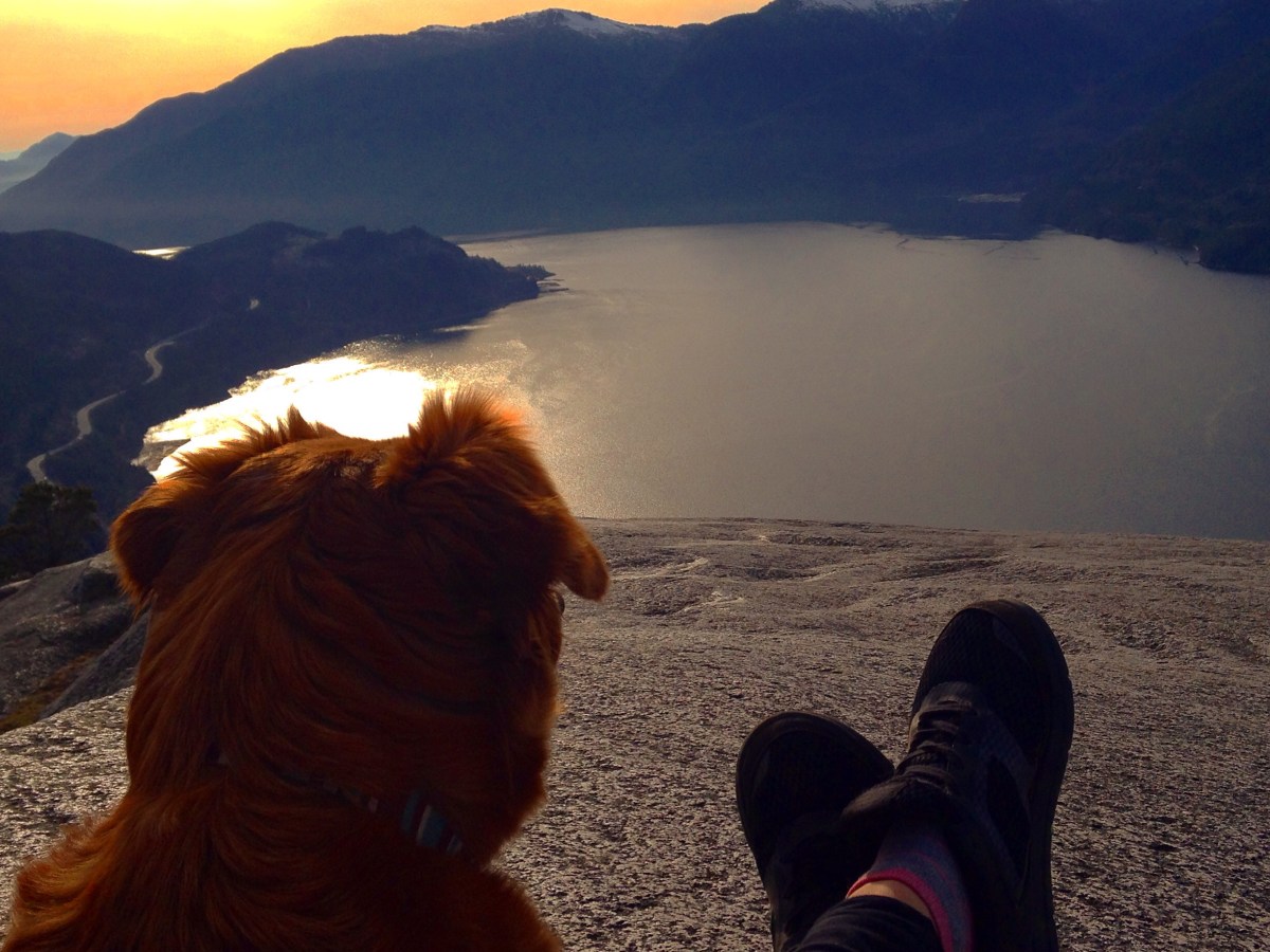 5 Dog-Friendly Incredible Hikes in the Sea-to-Sky&nbsp;Corridor