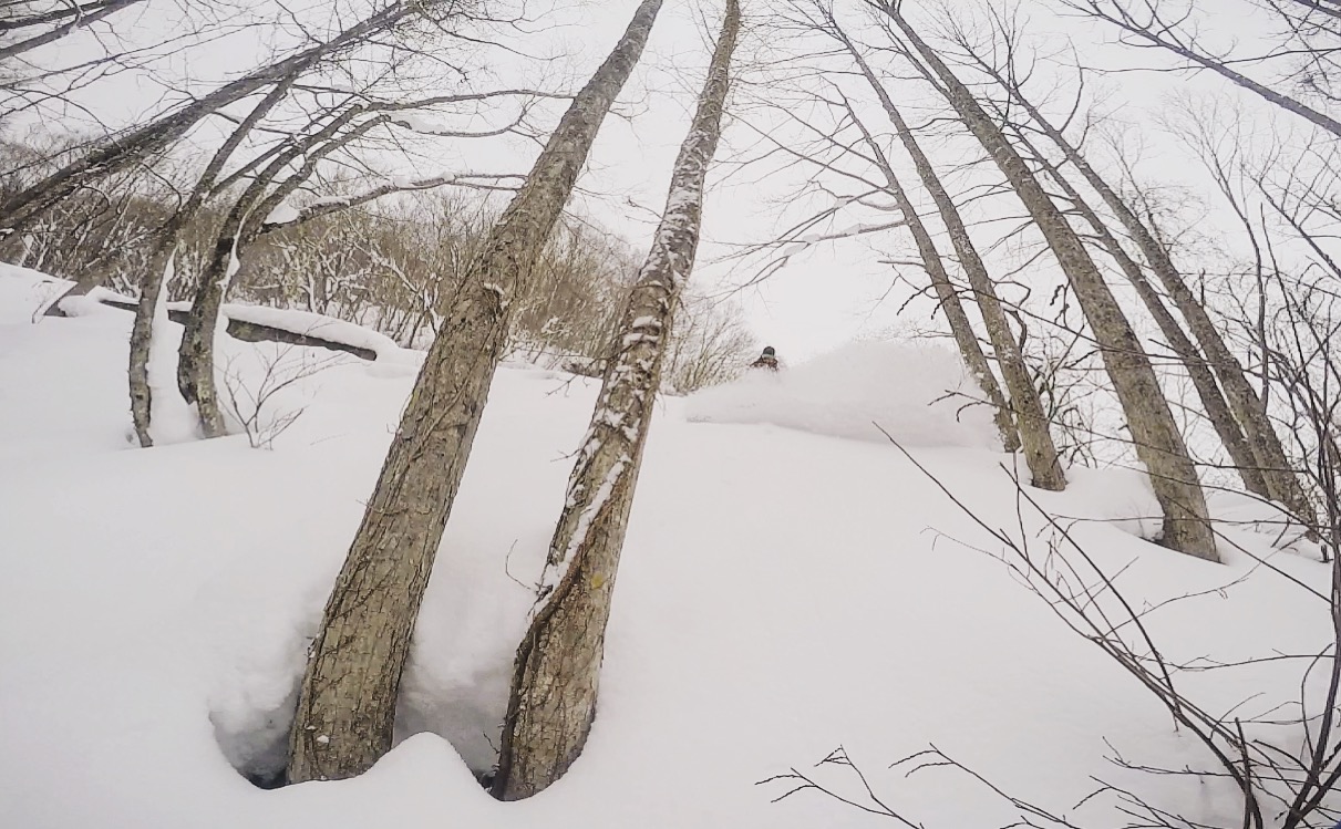 96abf62c-fcff-4d0c-8022-8957f3ae1008