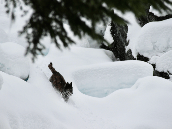 If I Could Frame Our Story as a Snowflake in My Heart, I’d Frost It with Infinity—So We Would Never&nbsp;Part