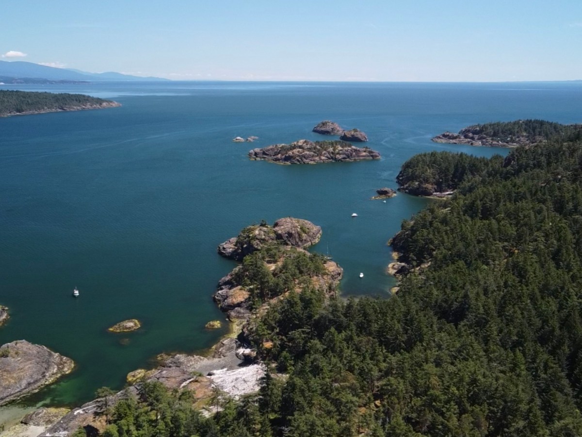 When the Ocean Tests You, and the Island Holds&nbsp;You